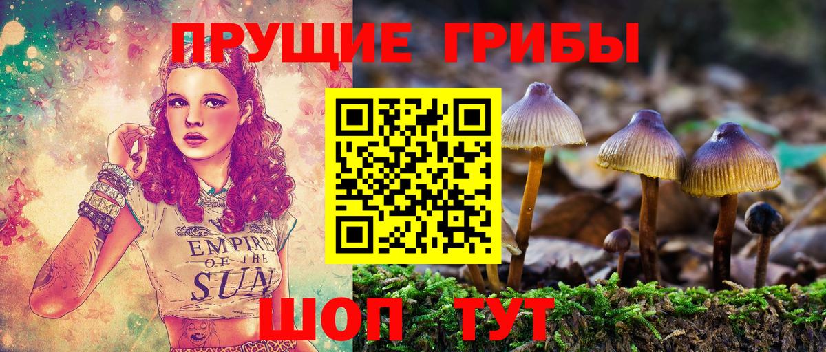 Галлюциногенные грибы мухоморы Новороссийск
