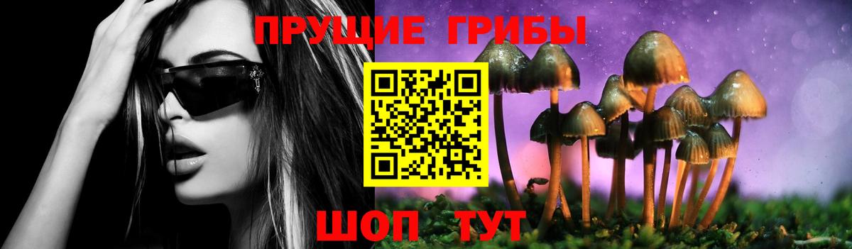 Галлюциногенные грибы мухоморы  как найти закладки  Новороссийск  Вход с VPN  Галлюциногенные грибы ЛСД 